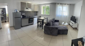 50m2 a 10 mn CDG, proche Parc Expo, Paris, Disney